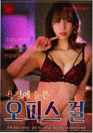午后书店治愈小说封面